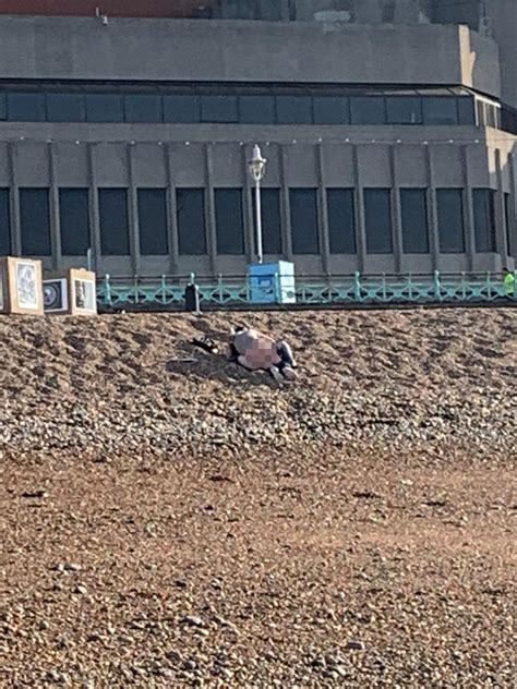Frisky Couple Spotted Having Sex On Brighton Beach Ignore Social Distancing Rules Lockdown The