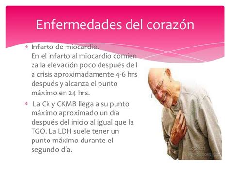 Enzimas Cardiacas