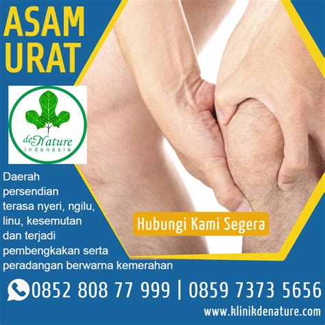 Obat Asam Urat Herbal Di Apotik