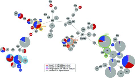 Minimum Spanning Tree Of The Escherichia Coli Urine Isolates The