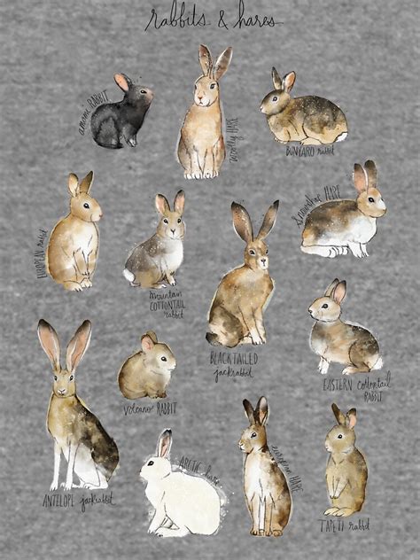 Rabbits And Hares Lightweight Sweatshirt For Sale By Amyhamilton Redbubble