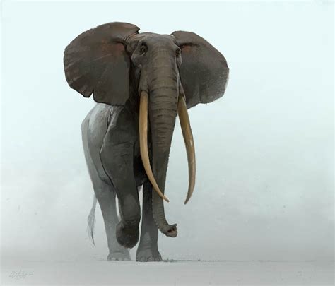 African Forest Elephant — Expedition Art