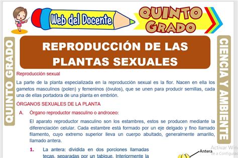 Reproducción de las Plantas Sexuales para Quinto Grado de Primaria