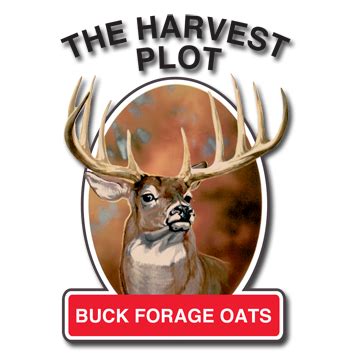 Buck Forage Oats Seeds for Sale (50 Lbs.) | Albert Lea Seed