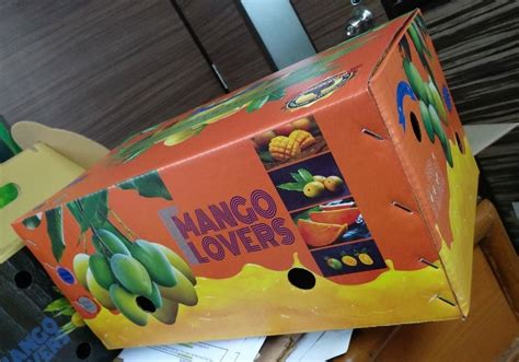 Barchius Kraft Paper 10kg Mango Packaging Box Box Capacity 6 10 Kg At Rs 22 Box In Vasai Virar