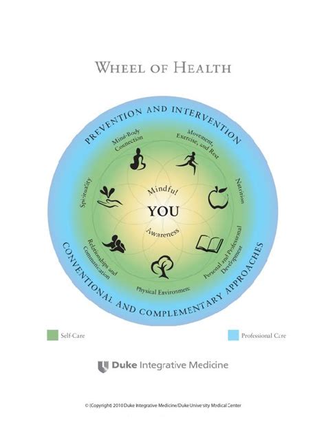 Pin On Wheel Of Health