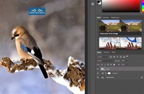 Cómo Cambiar El Tamaño Combinar Y Fusionar Capas En Photoshop