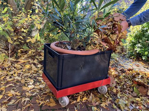 How To Assemble A Lowe’s Garden Shed: Tips For A Stress-Free DIY Project 13