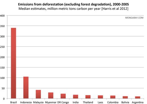 Deforestation And Global Warming Help Save The Trees