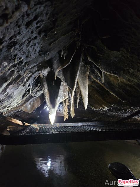 Sunflowerseed Aka Sunflowerseedling Nude Leaks OnlyFans Fapellas