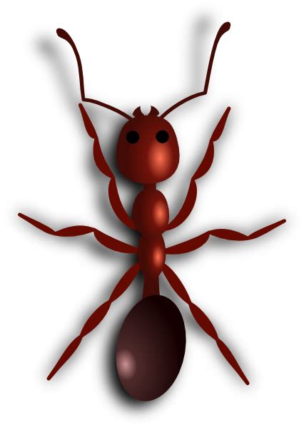 Fire Ant Clip Art At Vector Clip Art Online Royalty Free