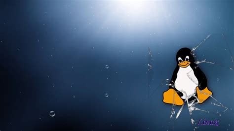 Linux Tux Wallpapers - Top Free Linux Tux Backgrounds - WallpaperAccess