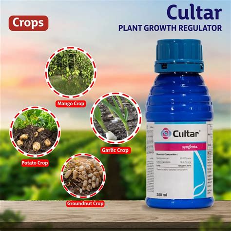 White Liquid Cultar Syngenta Plant Growth Regulator Bottle At Rs 240