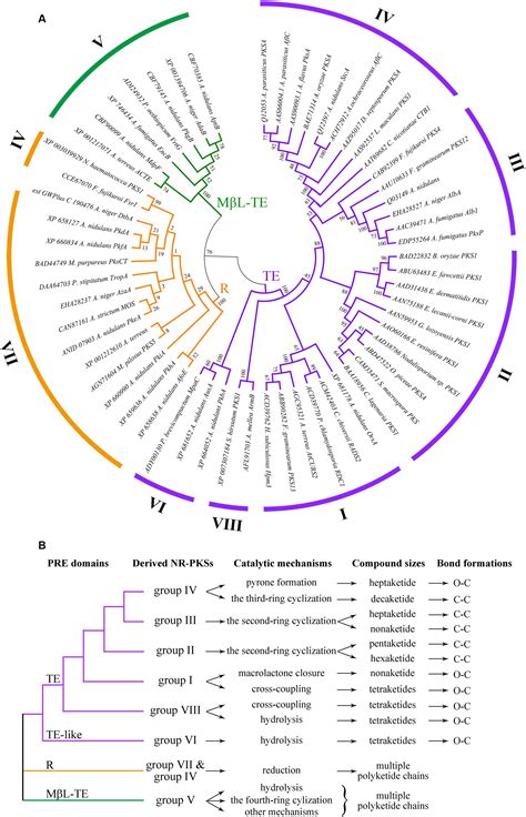 Frontiers Analysis Of The Sequences Structures And Functions Of