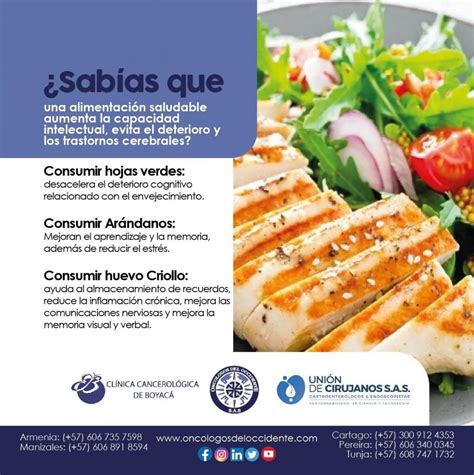 Sab As Que Una Alimentaci N Saludable Onc Logos Del Occidente S A S