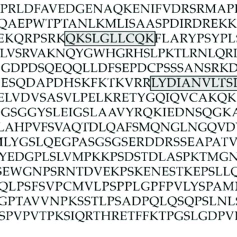 Amino acid sequence of E2F7 transcription factor (sp|Q96AV8|). Boxes ... 