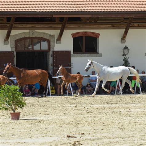 Offene T Ren Im Schweizer Nationalgest T Camping Plage Avenches