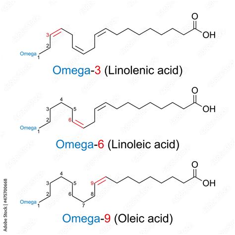 Omega N Fatty Acids Chemical Structures The Position Of The First