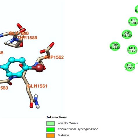 Synthesis Of Coumarin Linked Thiazole Derivatives Reagents