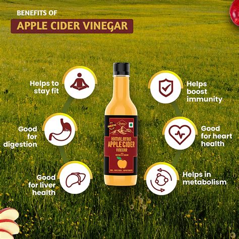 Organic Apple Cider Vinegar 500 Ml By Dabur Himalayan Natural Health Benefits Spencerkart