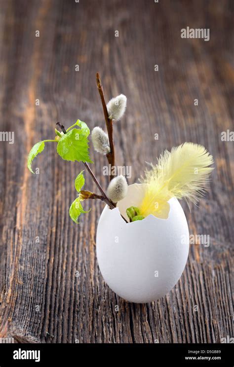 Easter Decoration Pussy Willow Birch Leaves And Yellow Feather In A White Egg Shell On Wooden