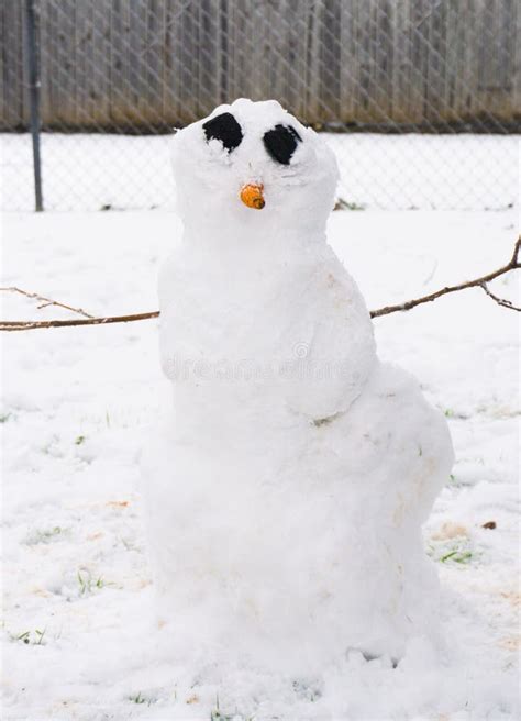 A Smile Snowman with Coal Eyes and a Carrot Nose Stock Image - Image of ...