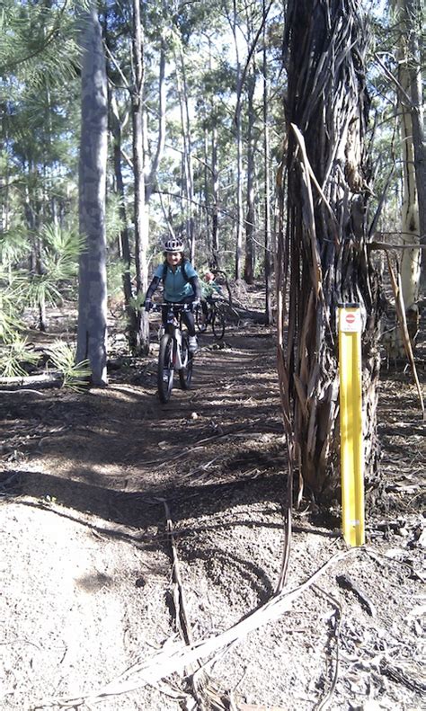 Reflectors Mountain Bike Trail Langford Park Jarrahdale