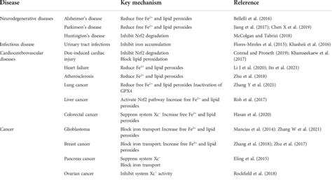 Frontiers The Critical Role Of Ferritinophagy In Human Disease