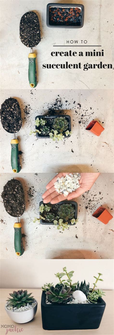 How To Create A Mini Succulent Garden Mini Succulent Garden Succulent Garden Diy Succulent