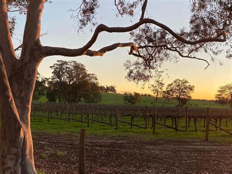 Ferguson Valley wineries | Localista