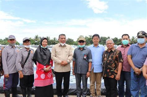 Tambak Udang Vaname Pasangkayu Jadi Percontohan Untuk Bolaang Mongondow