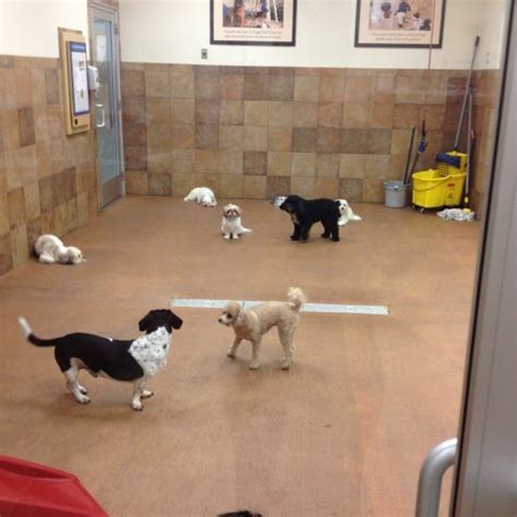 petsmart pet hotel - Delray Beach, FL