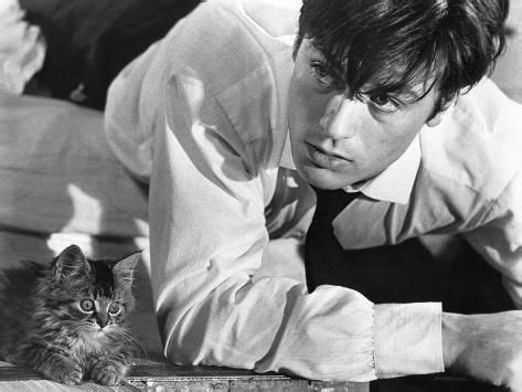 Les Felins Joy House By Rene Clement With Alain Delon B W Photo