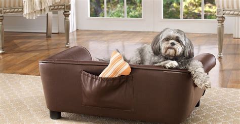 Dog Beds You'll Love | Wayfair.ca