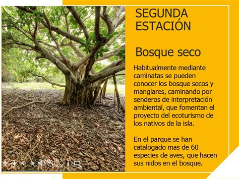 Visita a un parque ecológico Durante el recorrido