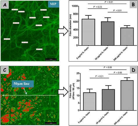 The effect of IL 1β on fibrin clot structure of PPP clots Structural