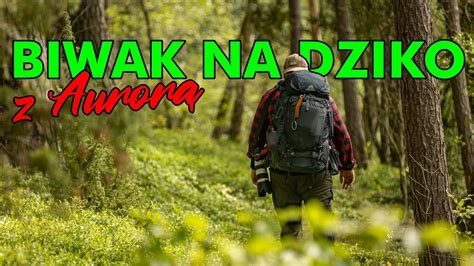 Biwak Na Dziko I Zorza Polarna W Borach Biwak Outdoor Bushcraft