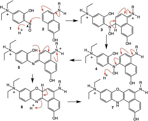 organic chemistry - Mechanism of formation of nile blue dyes ...