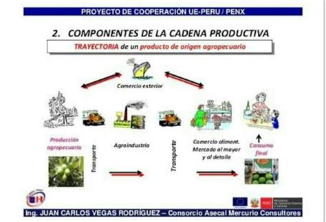 Cadena Productiva Mind Map