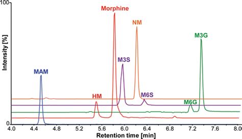 Lc Ms Ms Chromatogram Of The Morphine Metabolites Quantitation Method