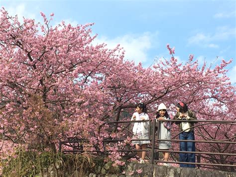 さくら学院 職員室 on Twitter 写真集さくら学院 磯野莉音 大賀咲希 白井沙樹 2016年3月 卒業の発売を記念して今年度