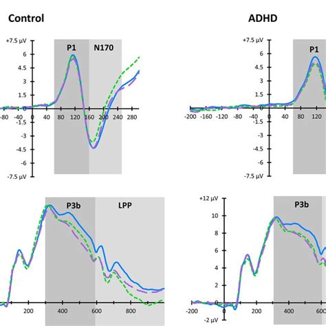 Illustration Of The Grand Average ERP Waveforms For The A N170 At