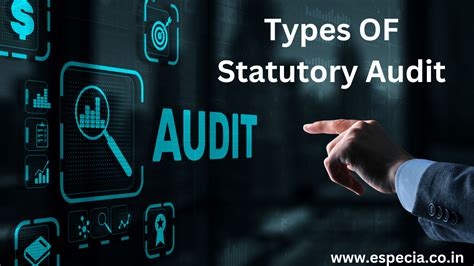 Types Of Statutory Audit Objectives Process Especia