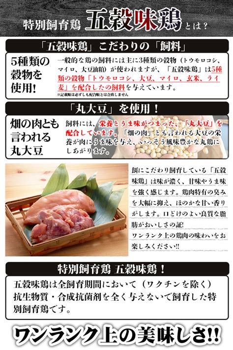 五穀味鶏 せせり串 青森県産 40g×10本 焼き鳥 生 冷凍 焼鳥 焼きとり やきとり 家 お取り寄せ 串 焼き ホットプレート Bbq