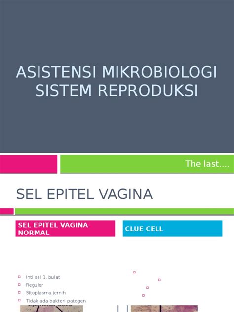 PDF Asistensi Mikrobiologi Repro DOKUMEN TIPS