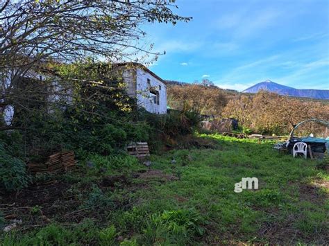 Fincas Y Parcelas Rusticas En Venta En Orotava Santa Cruz De