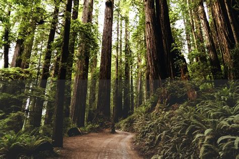 Unveiling Ancient China's Architectural Majesty