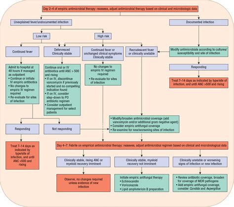 Infections In Immunocompromised Patients Basicmedical Key