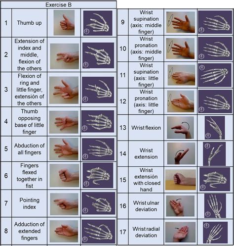 Wrist Range Of Motion Exercises | atelier-yuwa.ciao.jp