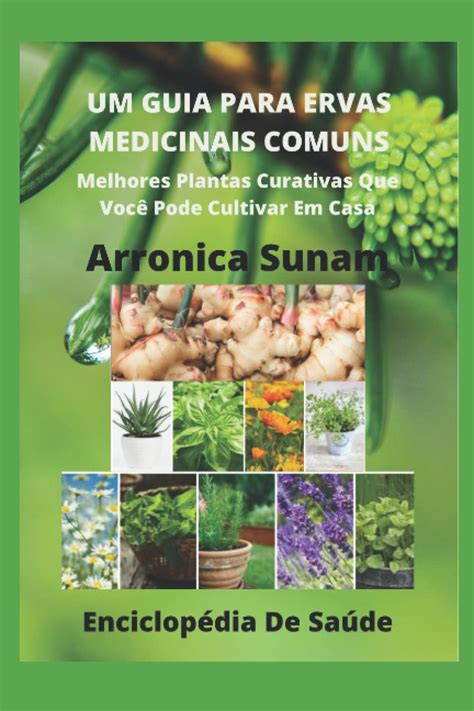 Buy Um Guia Para Ervas Medicinais Comuns Melhores As Curativas Que